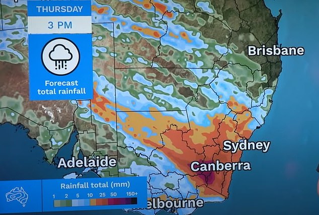 Urgent Sydney weather warning as damaging winds and rain blast