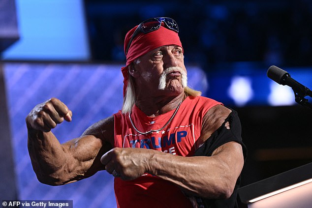 Hulk Hogan has expressed his concerns about Mike Tyson's upcoming fight against Jake Paul