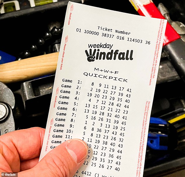 A Brisbane man has won $1 million on a Weekday Windfall ticket - but it's not the first time he's had a winning ticket (pictured stock photo of a Weekday Windfall ticket)