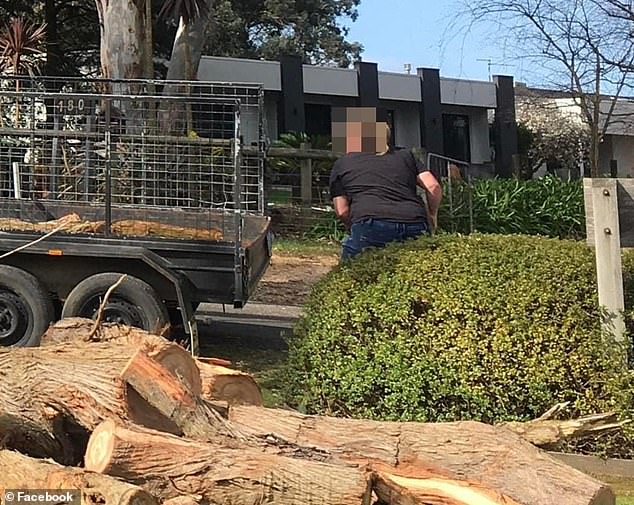 A furious couple have appealed for help to identify a brazen thief (pictured) who stole expensive logs from their estate while they were on holiday