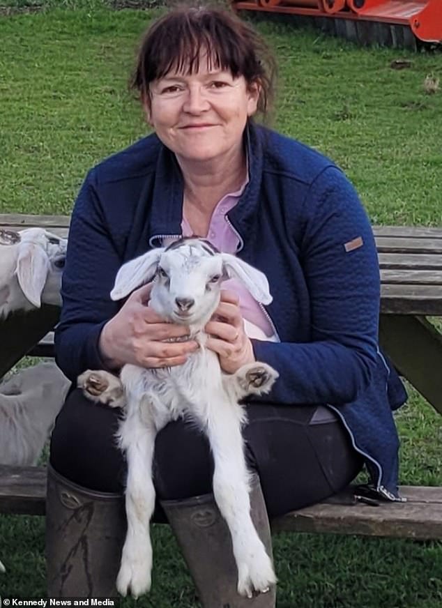 Jackie Stride, 54, was worried that her mischievous goats Crunchie, Goldilocks and Wisp would injure themselves while jumping on a wooden chair and decided to remove the chair.