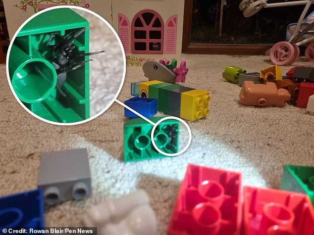 This is the chilling moment a poisonous spider is discovered in a toddler's Duplo while playing