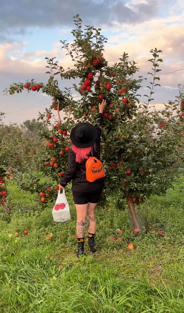 Beak and Skiff Apple Orchards offers 20 varieties of apple trees and more than 15 different varieties of fresh apples