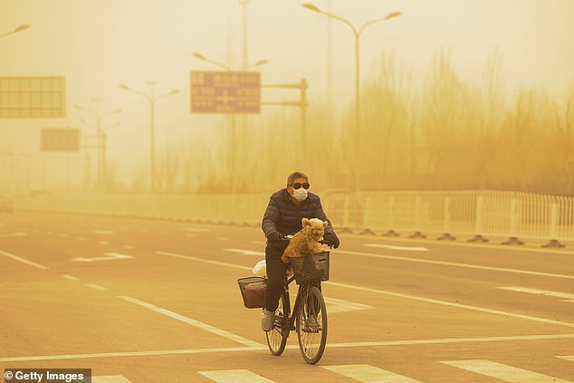 The researchers point out that in some Chinese cities, such as Beijing (pictured), fuel consumption is already being rationed indirectly by banning people from driving on certain days. This is intended to help reduce air pollution in the city.