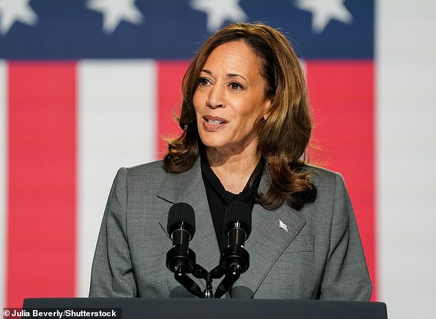 Vice President and Democratic presidential candidate Kamala Harris speaks about reproductive freedom and Trump's abortion ban on September 20, 2024 at the Cobb Energy Performing Arts Center in Atlanta, Georgia. Vice President Harris Campaign Rally in Atlanta, Georgia