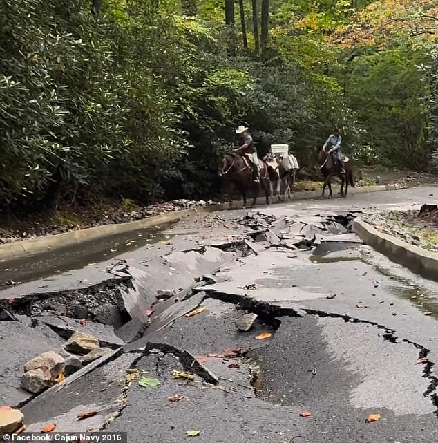 As a result of the devastation in the state, mules are being deployed in the area to help resupply residents