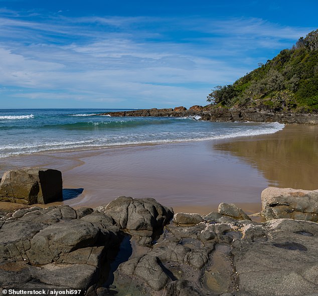 Ms Blake and the man were the only people on Coolum Beach at the time (pictured) and reported the incident to police, who launched an investigation.