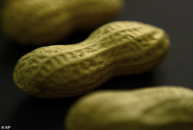 A number of products containing mustard, mustard powder or mustard flour contain undeclared peanuts that pose a danger to any consumer with an allergy