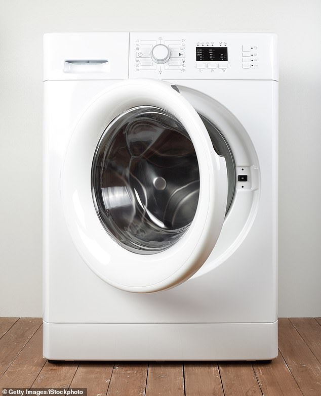 The self-proclaimed mold expert has issued a dire warning to homeowners after discovering mold in her washing machine (stock image)