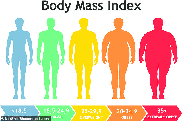 Body Mass Index (BMI) places people into one of five categories based solely on their height and weight. Critics say this metric is inaccurate and can't take into account things like fat distribution and muscle mass - suggesting BRI might be better