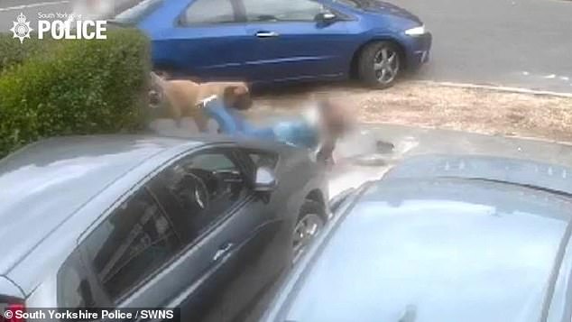 The footage shows the man trying to flee, but he fell to the ground when another person tried to snatch the dog.