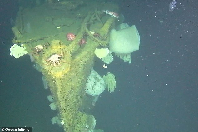 The wreck of DD-224 is said to have been found in near-perfect condition, making it possibly one of the first of its kind to be so well preserved