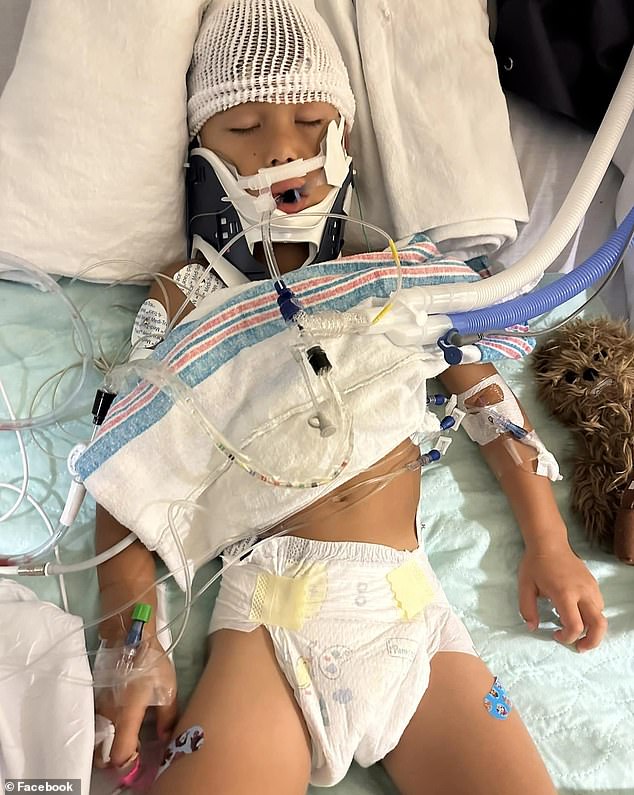 Ernesto Tagle, 5, fainted last month while riding the Guardians of the Galaxy ride with his family, sparking a frantic battle to revive him