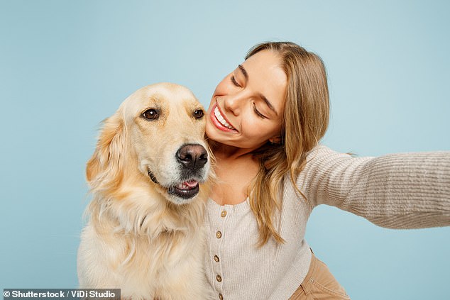 Dogs' understanding of human speech relies on a much slower pace, experts say, and slowing down our speech can help us connect better with them (stock image)