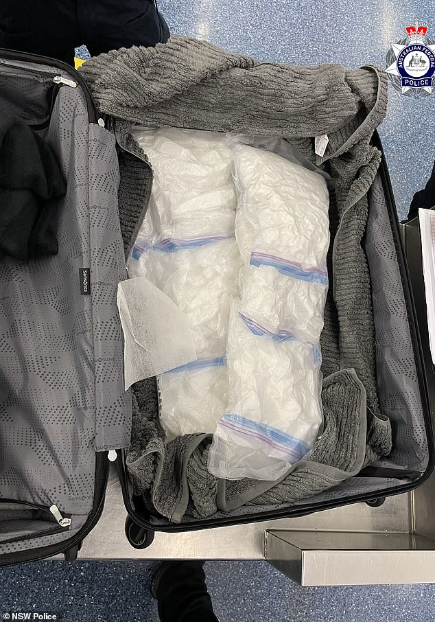 A powdery substance was reportedly found in several vacuum-sealed bags (photo). Further testing revealed it was methamphetamine