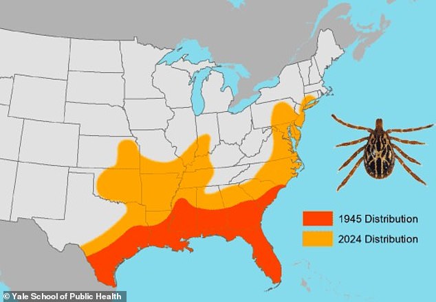 As their name suggests, Gulf Coast ticks are most commonly found in the Gulf Coast. But in recent decades they have expanded their range north and are now present as far as New England