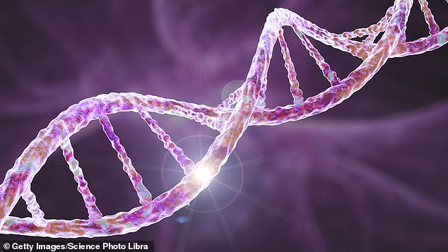 Researchers will explore the potential of storing an individual genome over a person's lifetime and using it to help predict, diagnose and treat future diseases.