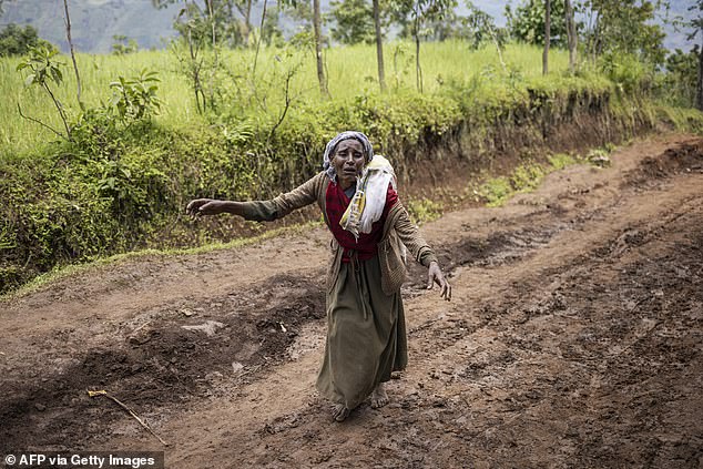 Countries with higher GDP were found to have lower IPV rates. Pictured: A woman returning from the site of a landslide in Kencho Shacha Gozdi, Ethiopia