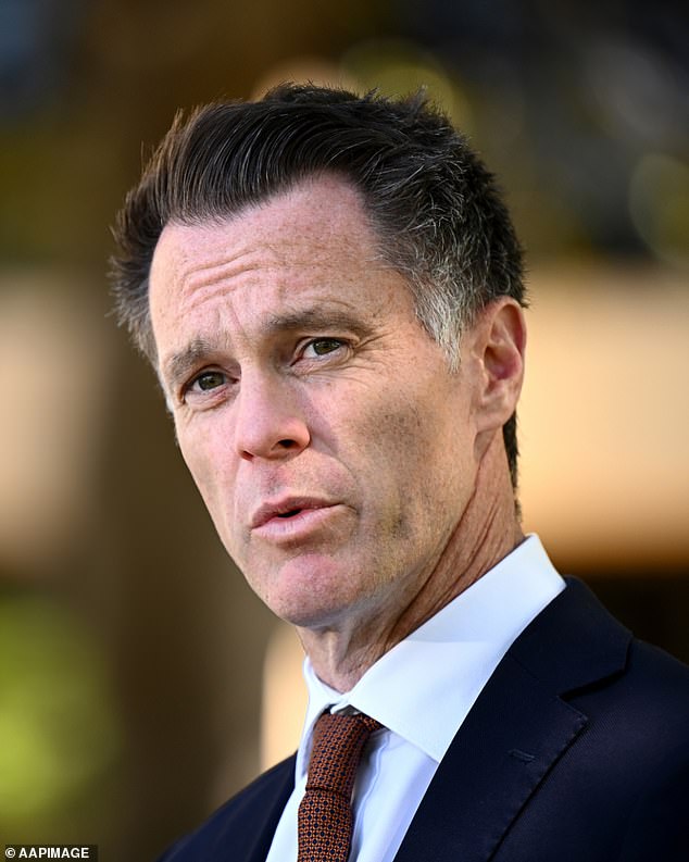 NSW Premier Chris Minns (pictured) ordered his state's 400,000-strong workforce back to the office without notice from August 6 - sparking an uproar