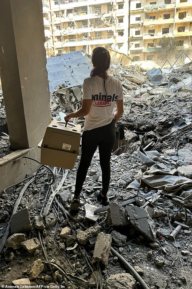 An activist holds an animal cage amid the rubble of a building damaged in Israeli attacks as she searches for abandoned cats in Beirut's southern suburbs