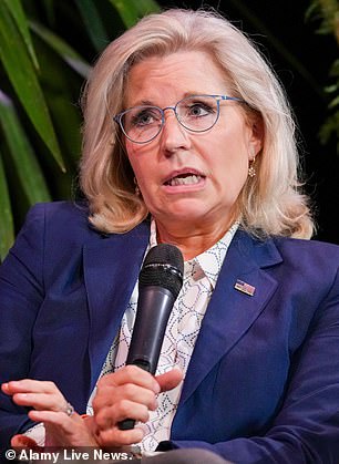 Former Rep. Liz Cheney