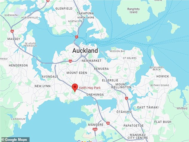 The park is located just south-east of Auckland city center and the event is organized by Auckland United