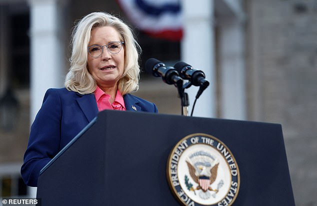 Former Republican Rep. Liz Cheney called former President Donald Trump 