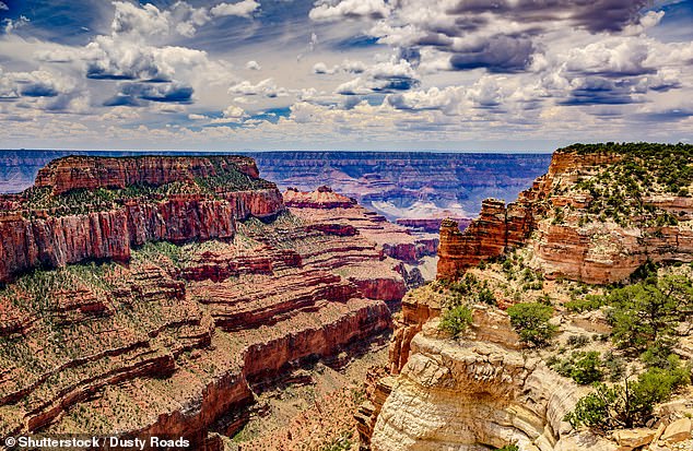 Falls are the number two cause of death at the Grand Canyon. From 2007 to 2023, there have been 40 deaths from falls – an average of 2.4 per year, according to the Grand Canyon's official website