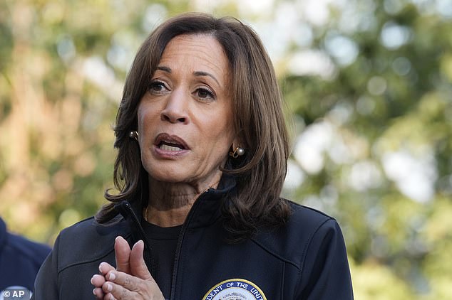 Democratic presidential candidate Vice President Kamala Harris