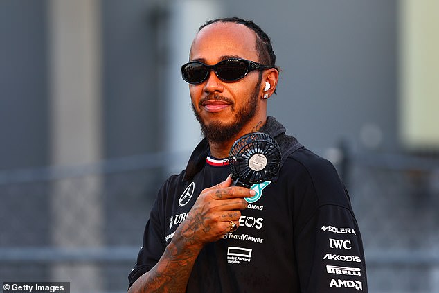 Lewis Hamilton (pictured) is among the drivers who have backed Verstappen after the FIA ​​punished the Red Bull CEO for swearing