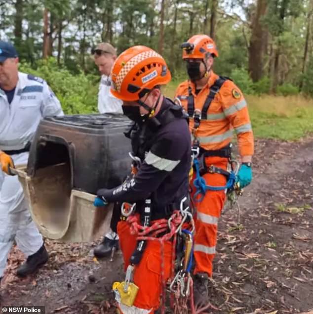 An SES crew (pictured) recovered the pet from the area and discovered she could not lift her body and had a large tumor with an open wound