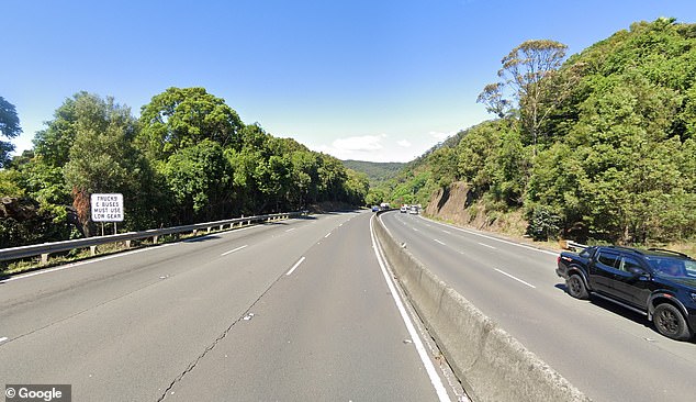 The dog was found at the foot of a cliff near Clive Bissell Drive (pictured) on Mount Ousley