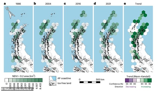 The team analyzed satellite images taken over the past forty years across the peninsula and found that vegetation cover has increased significantly