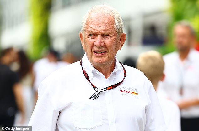 Red Bull team advisor Helmut Marko (pictured) thinks Mick's career could be over if he doesn't get a seat next year