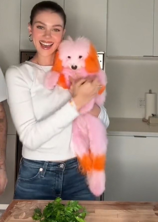 So why is this talentless couple engaging in a new form of animal cruelty by dyeing the fur of their white Bolognese dogs pink, purple and orange?