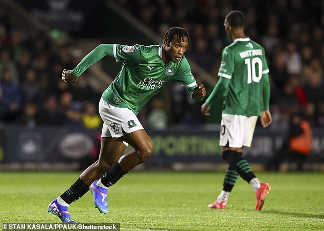 Gray's arrival comes after Plymouth striker Muhamed Tijani was ruled out until January due to injury