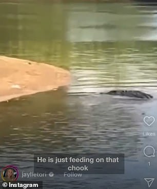 “Look at him, he's just feeding on that food and absolutely loving it,” she said