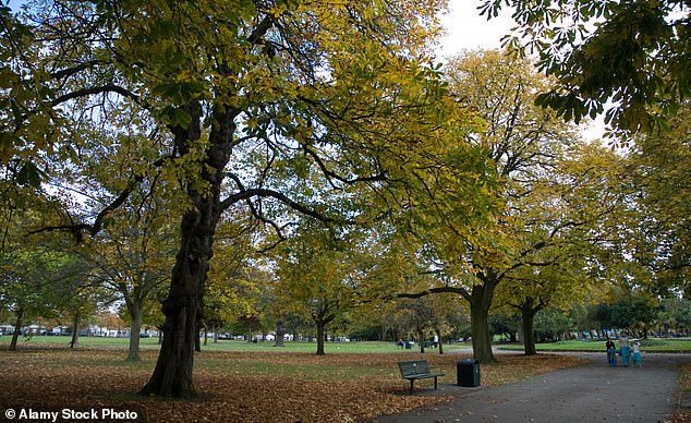 Ms Shotter was found dead on a bench in Southall Park (pictured), west London, in July 2021