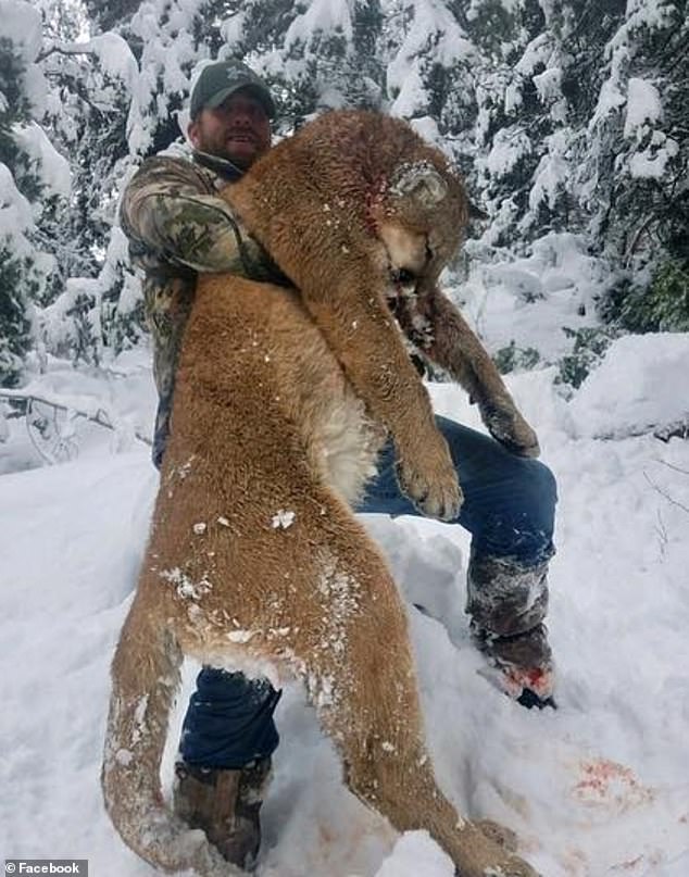 Kulow responded to a Facebook comment labeling his hunt as “terrible” by saying, “We are in the business of saving deer and people. They are not house cats. They are murderers'