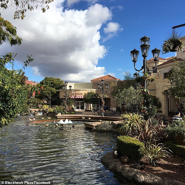 Nutria have now made their way to Contra Costa County's California Delta, one of the state's most crucial water sources and ecological locations. Pictured: Blackhawk Plaza in Danville