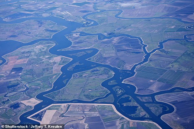 The California Delta routes water throughout the state for agricultural use and human consumption