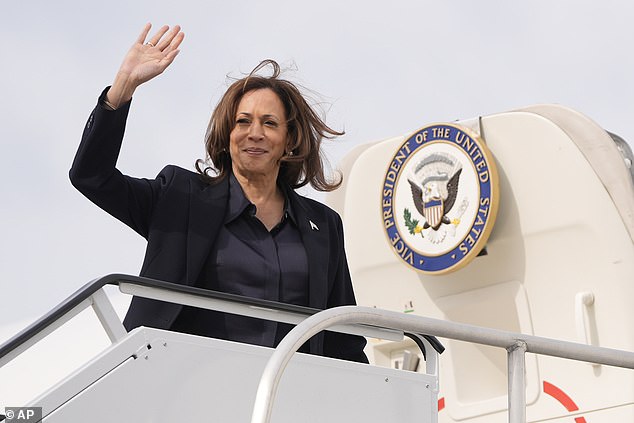 Kamala Harris just needs a few thousand Nikki Haley supporters to break for her and she could win the key swing state of Michigan in the November election