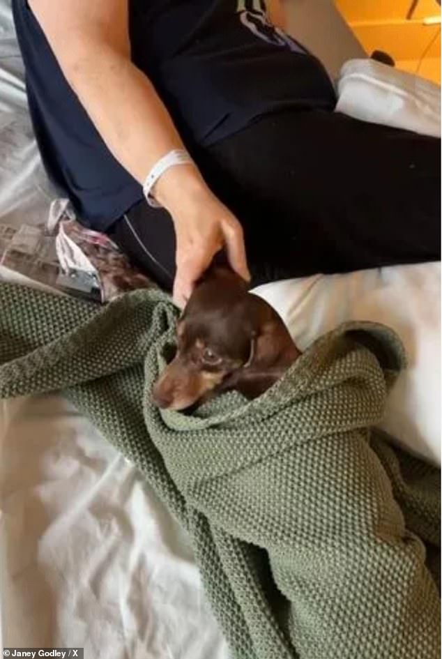 The adorable sausage dog seemed overjoyed to be back with the star and pounced on her in pure excitement before being wrapped in a green blanket by Janey.