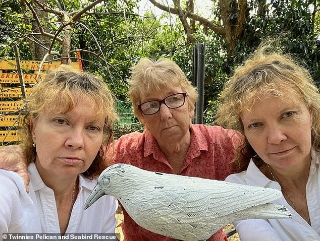 The Powers twins now have a statue of a crow painted white at Twinnies Pelican and Seabird Rescue. Paula and Bridgette are pictured with mother Helen