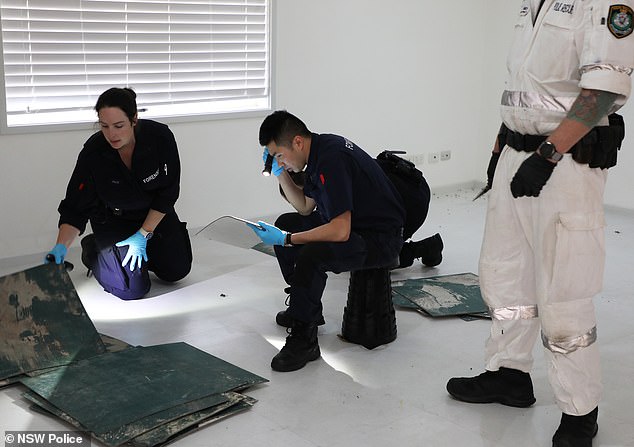 The couple moved from Egypt to Sydney more than 30 years ago and have lived in the Greenacre home for the past five to 10 years (photo, Juno Parade home forensics)