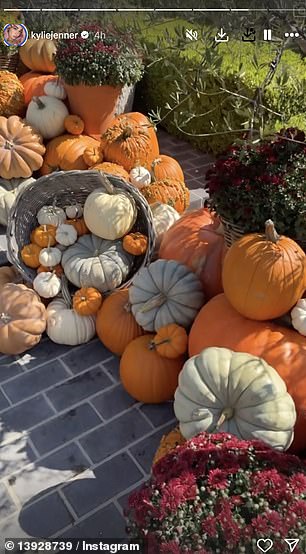 To engage her nearly 400 million Instagram followers, the 27-year-old billionaire uploaded images of her fall decor