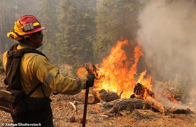 A firefighter battles a wildfire in California's Angeles National Forest in September 2024.