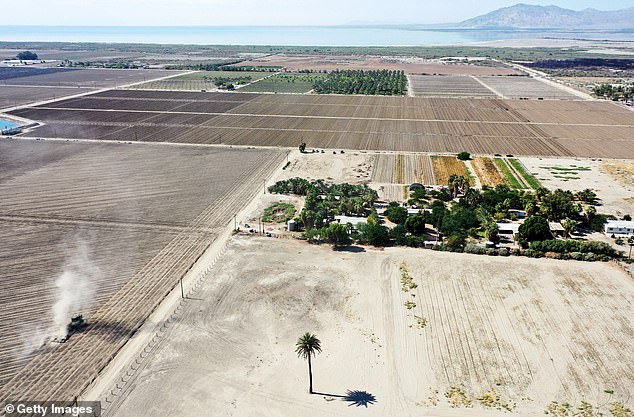 An aerial view of a tractor operating near the drought-stricken Salton Sea, near Mecca, California, in July 2022.