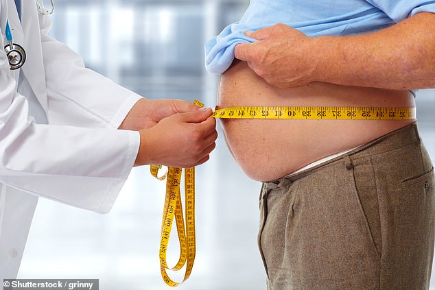 The average middle-aged man weighs 14 stone and has a 40 inch waist, while women aged 45 to 64 now weigh an average of 12 stone, with a 36 inch waist (file image)