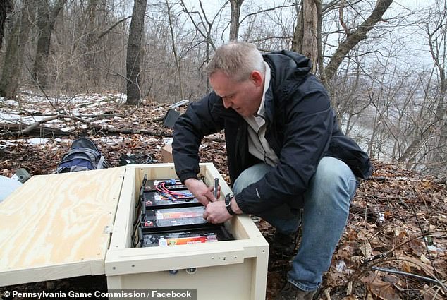 Powers, whose goal is to help people connect with nature through his live-streamed wildlife recordings, described the sighting as 